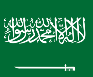 Saudi Arabia Database